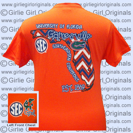 Florida T-Shirt: State Chevron (Short Sleeve)